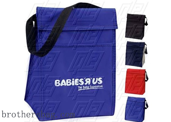 cooler bag 2